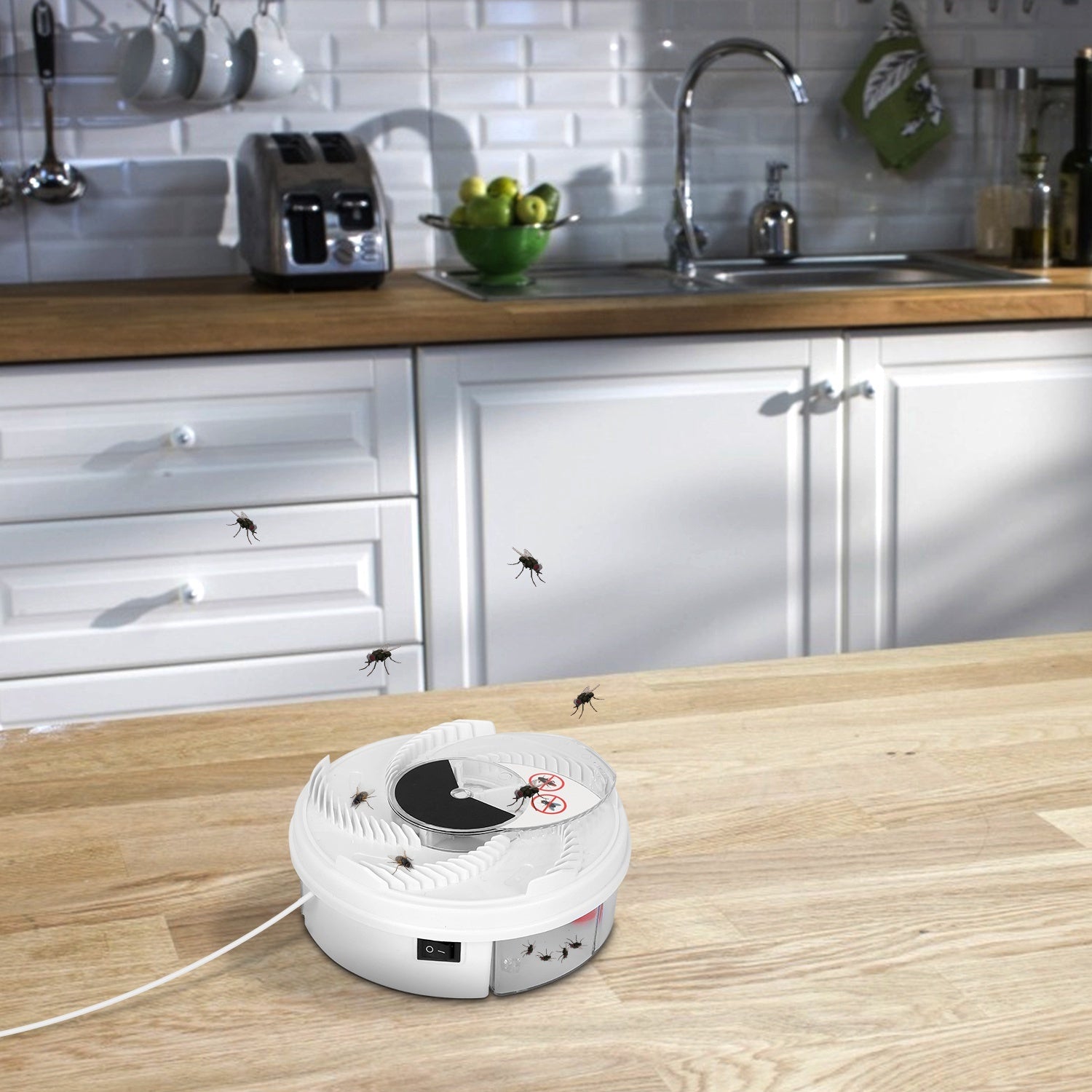 USB Powered Rotating Fly Trap