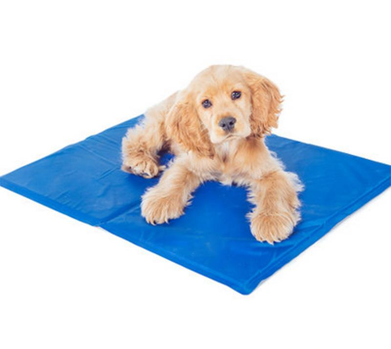 Pet Cooling Mat With Auto Recharging 3H