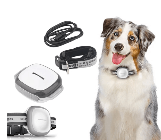 Real-Time GPS Pet Tracker With Durable ABS