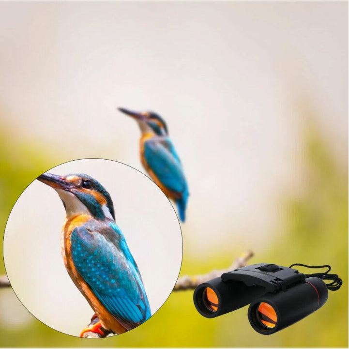 Compact, Folding 30x60 Zoom Binoculars