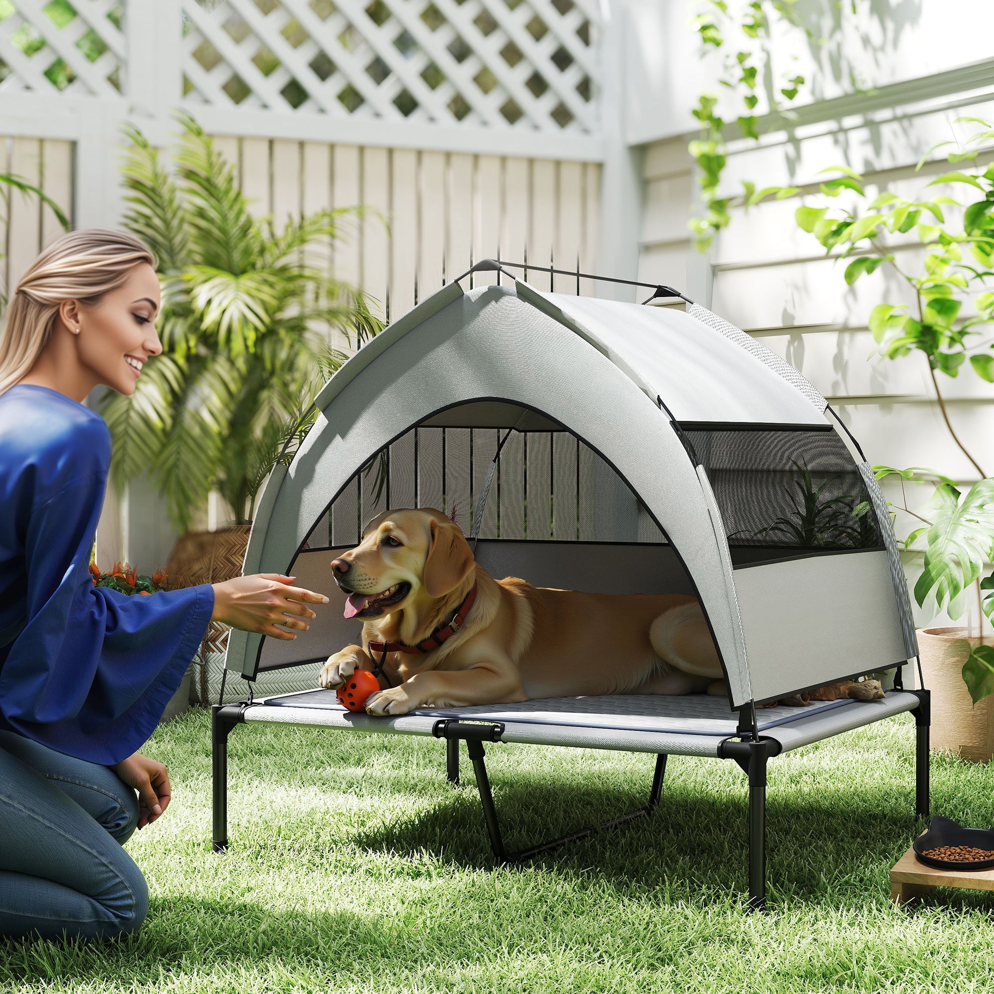 Premium Elevated Dog Bed With Removable Canopy