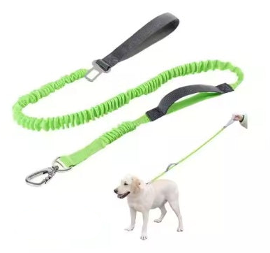 Explosion Proof Dog Leash With Padded Dual Handles