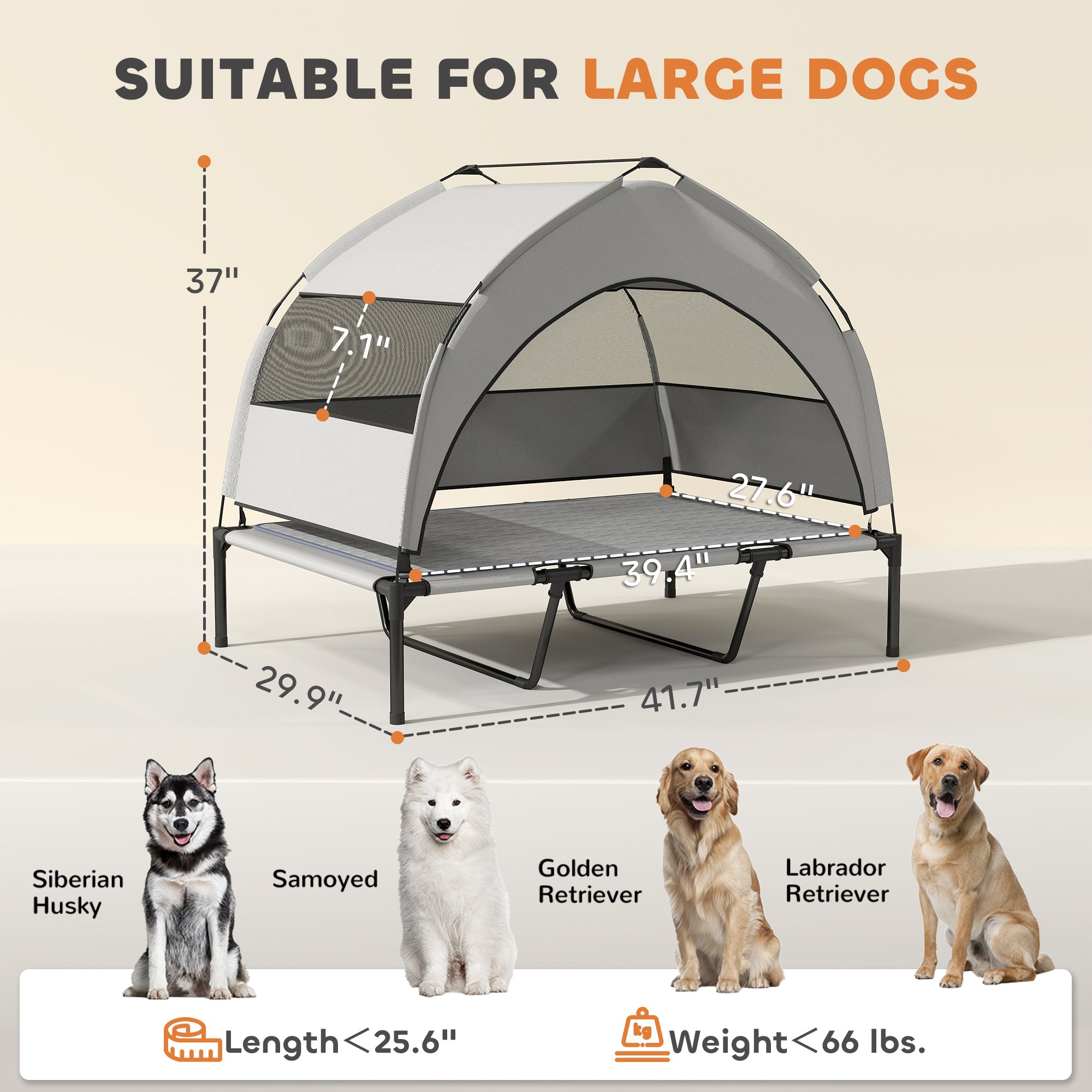 Premium Elevated Dog Bed With Removable Canopy