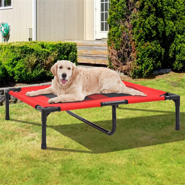 Elevated Dog Bed With Breathable Mesh
