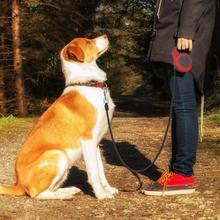 Pet Telescopic Rope One Hand Braking