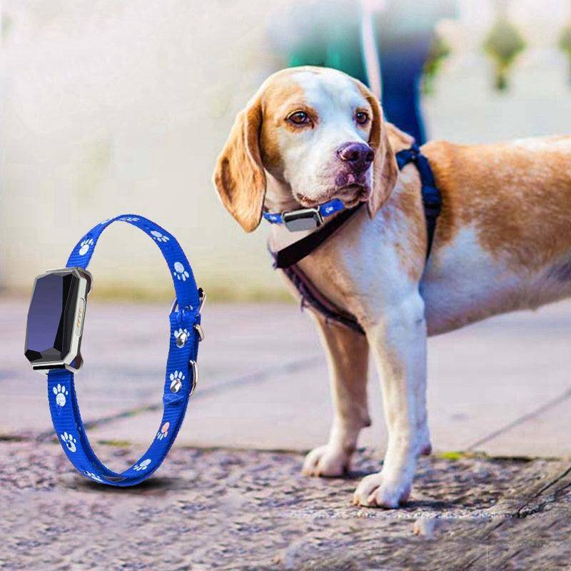 GPS Pet Tracker Real Time Tracking