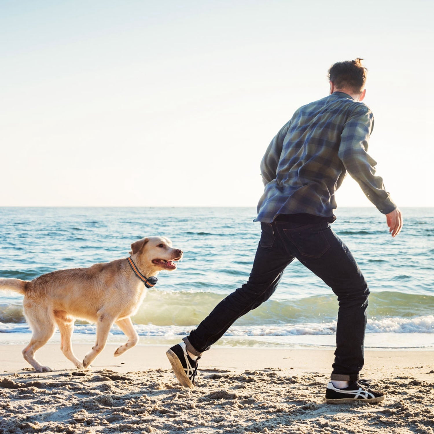 Dog GPS Fence Tracker IPX6 Waterproof
