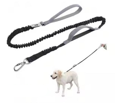 Explosion Proof Dog Leash With Padded Dual Handles