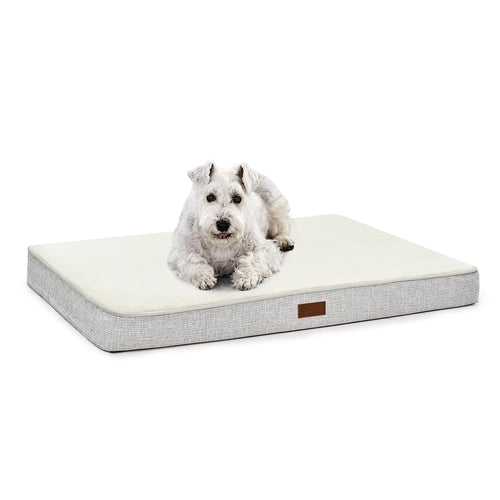 Orthopedic Dog Bed With Washable Cover