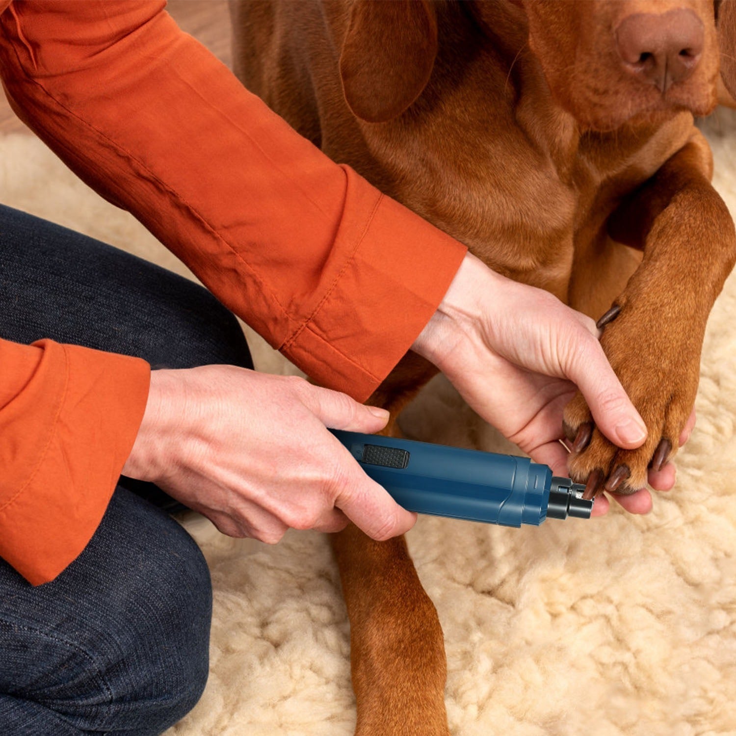 Dog Nail Grinder Dual Speeds Quiet USB