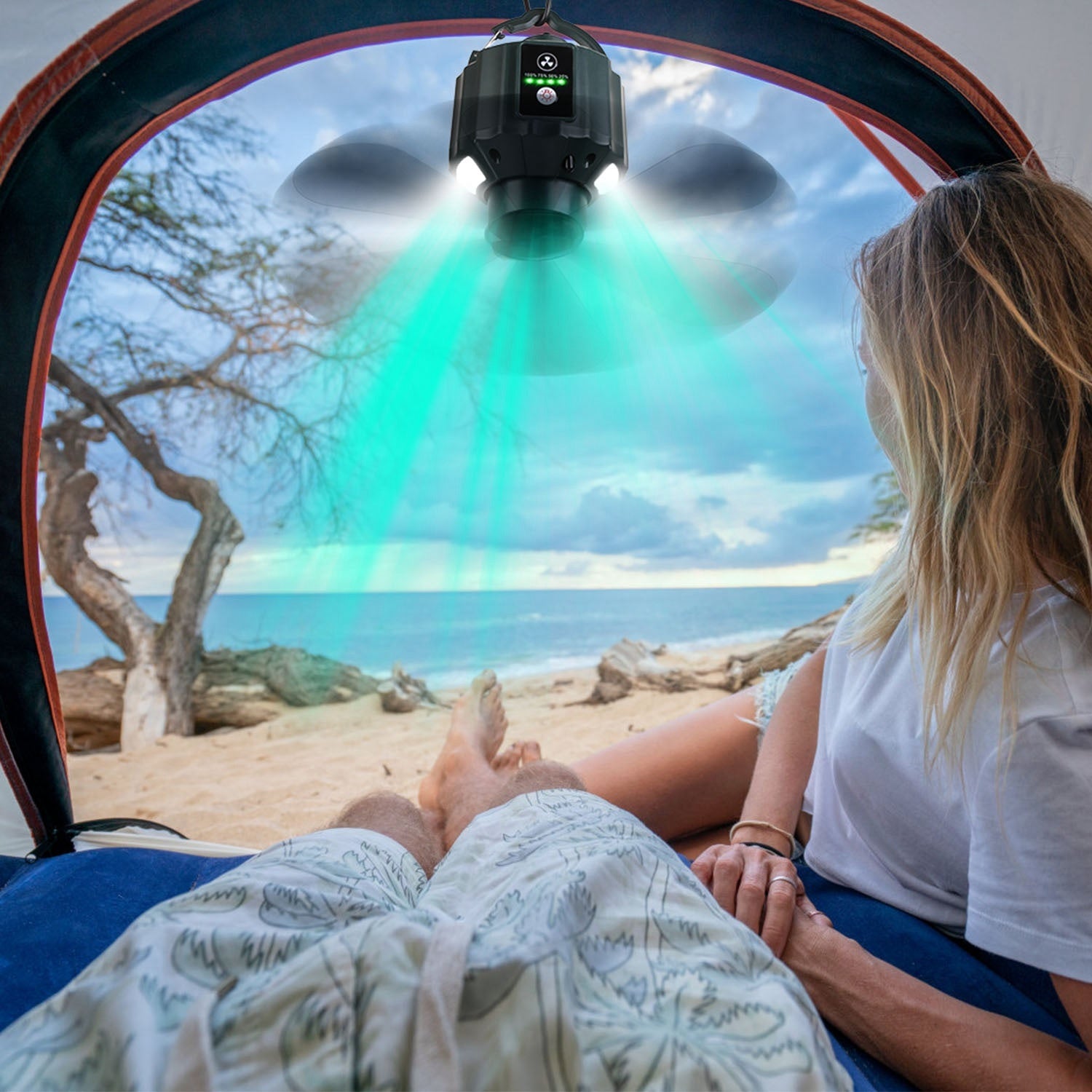 Camping Tent Ceiling Fan And LED Light