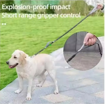 Explosion Proof Dog Leash With Padded Dual Handles
