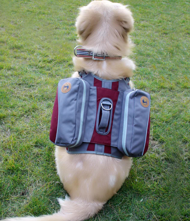 Pet Travel Backpack Detachable Chest