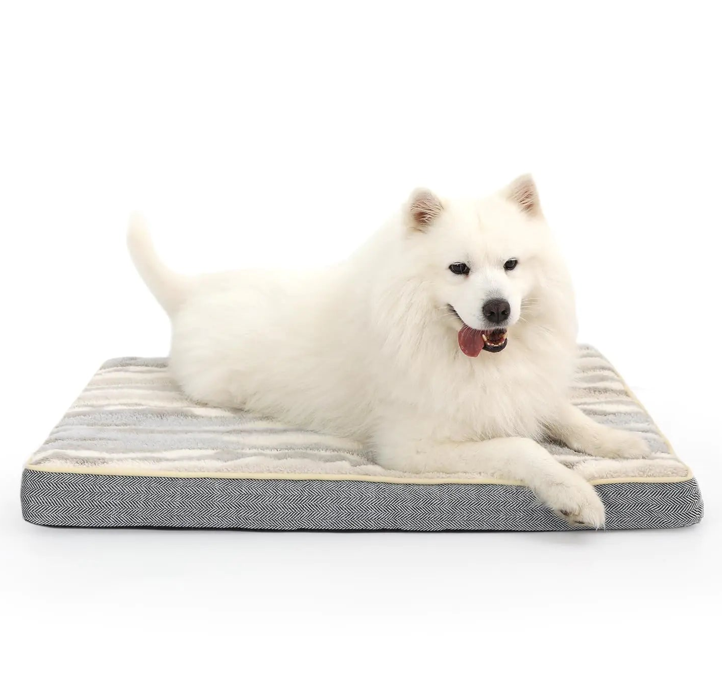 Orthopedic Dog Bed for Medium To Large Dogs