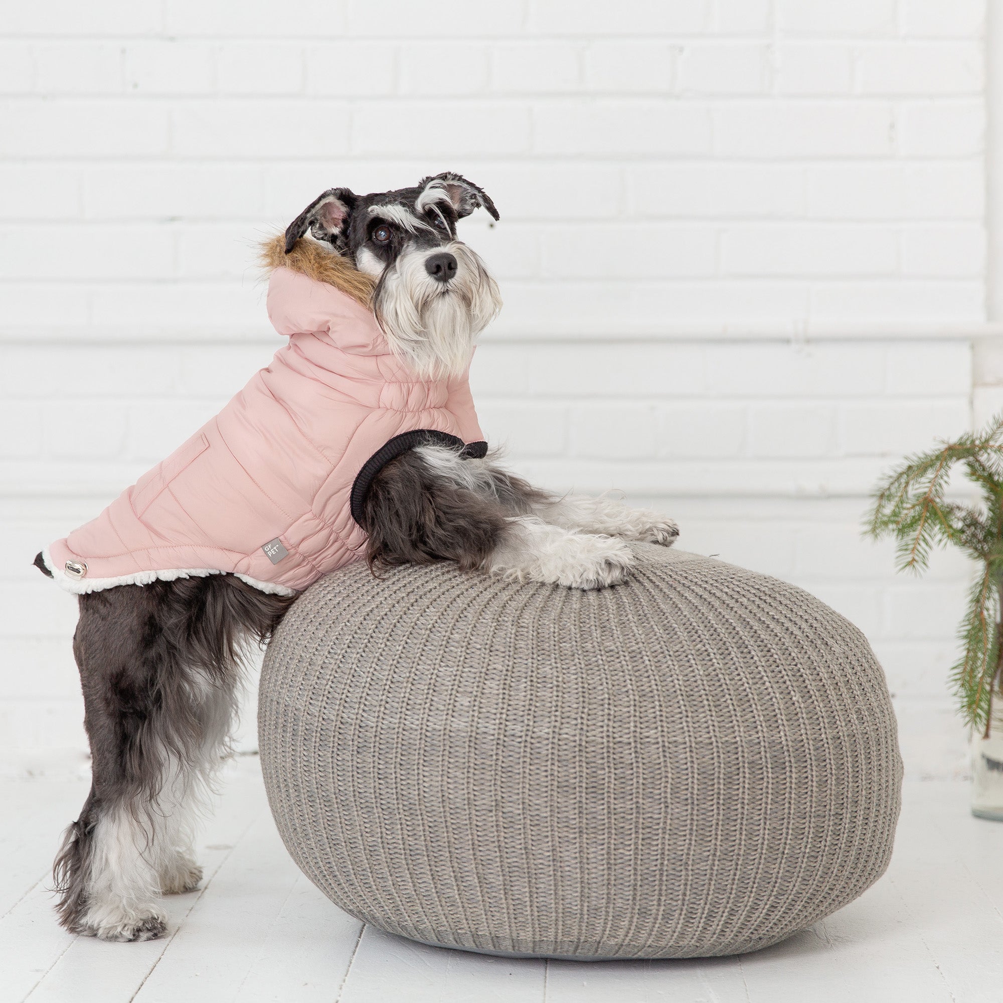 Dog Parka With Elasto Fit Keeps Pup Warm