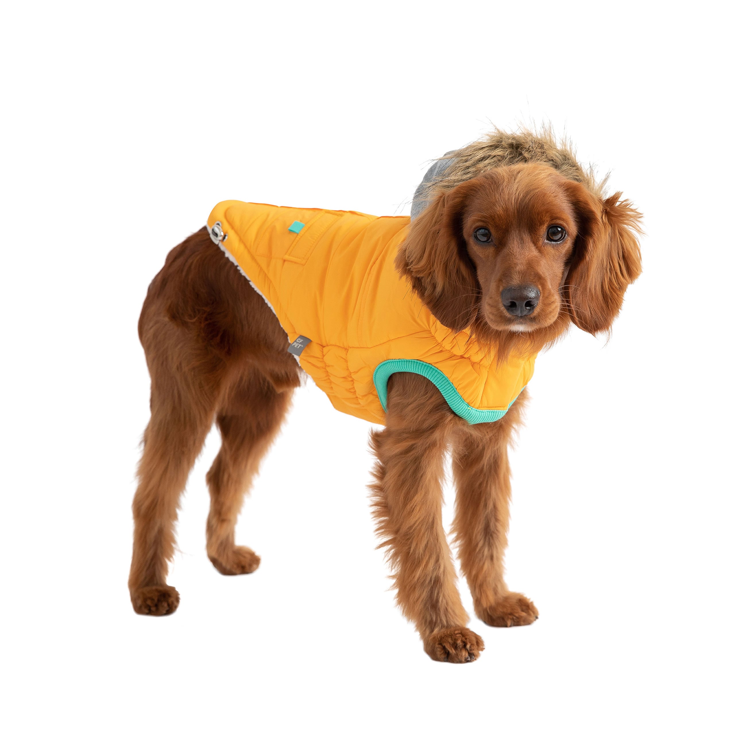 Dog Parka With Vegan Fur Trim Hood And Elasto-Fit Tech