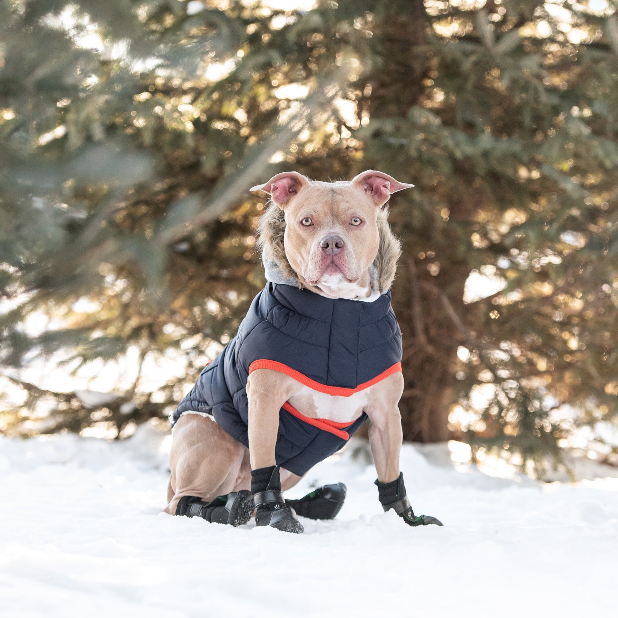 Winter Sailor Parka Vegan Fur Hood