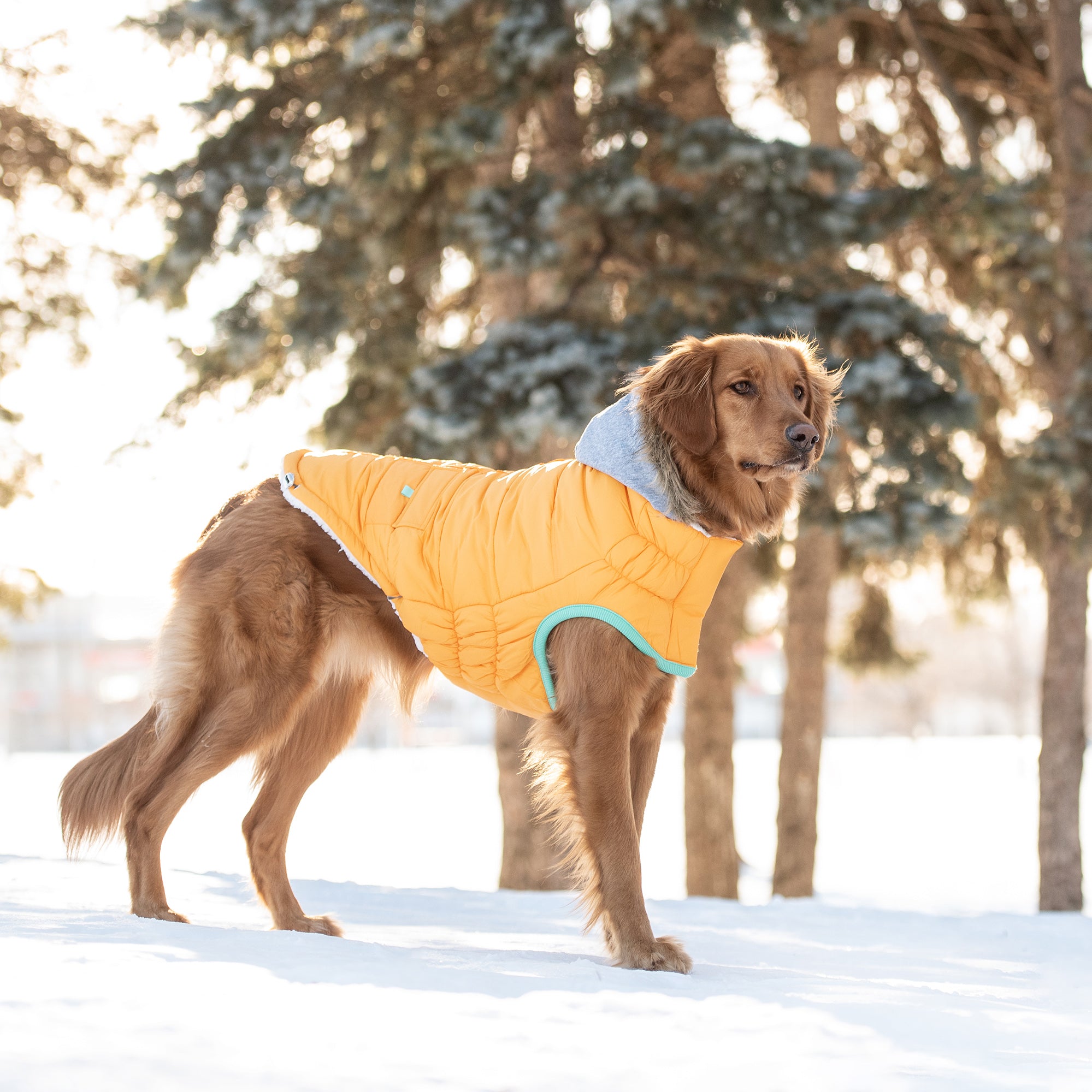 Dog Parka With Vegan Fur Trim Hood And Elasto-Fit Tech