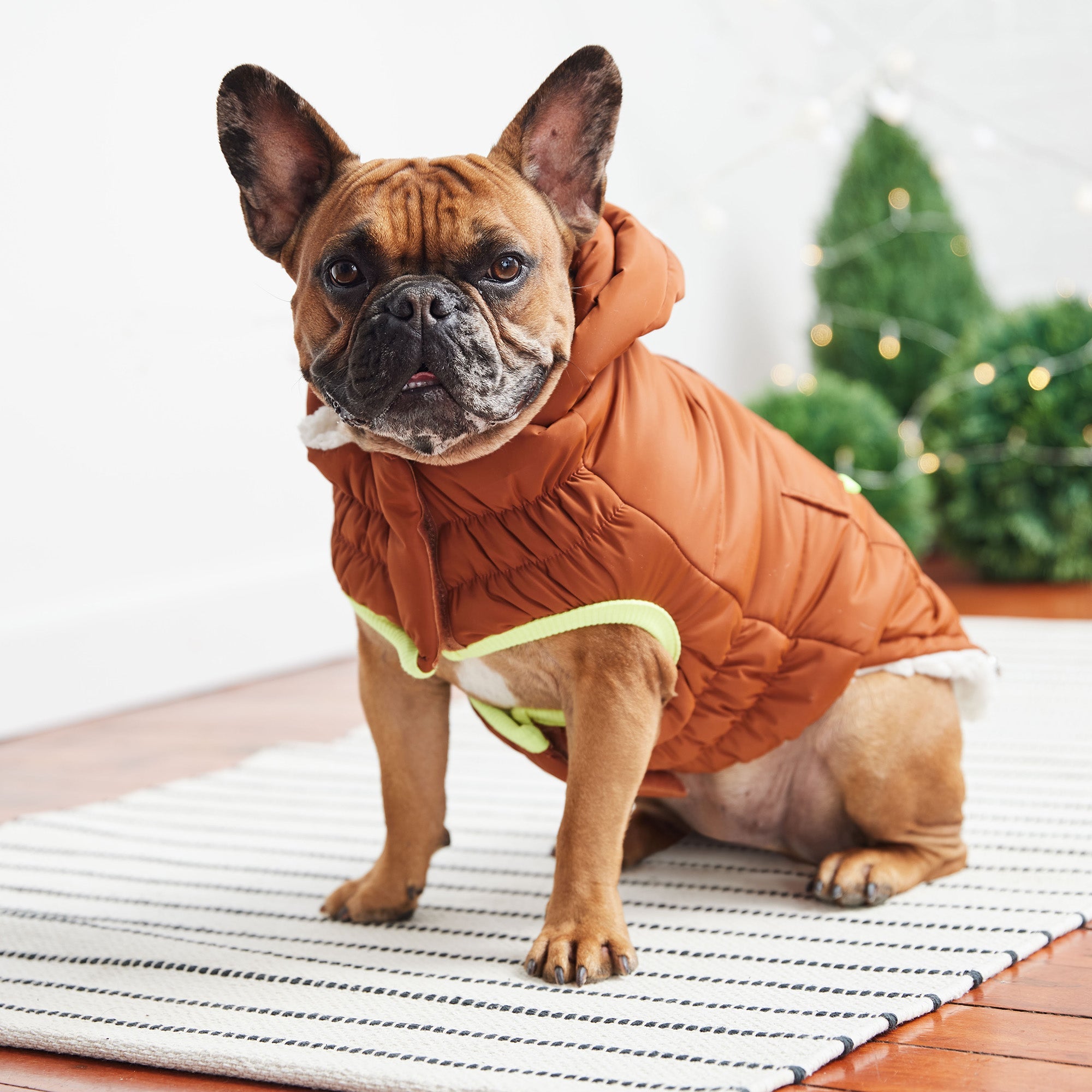 Super Puff Parka Dogs With Tackable Hood
