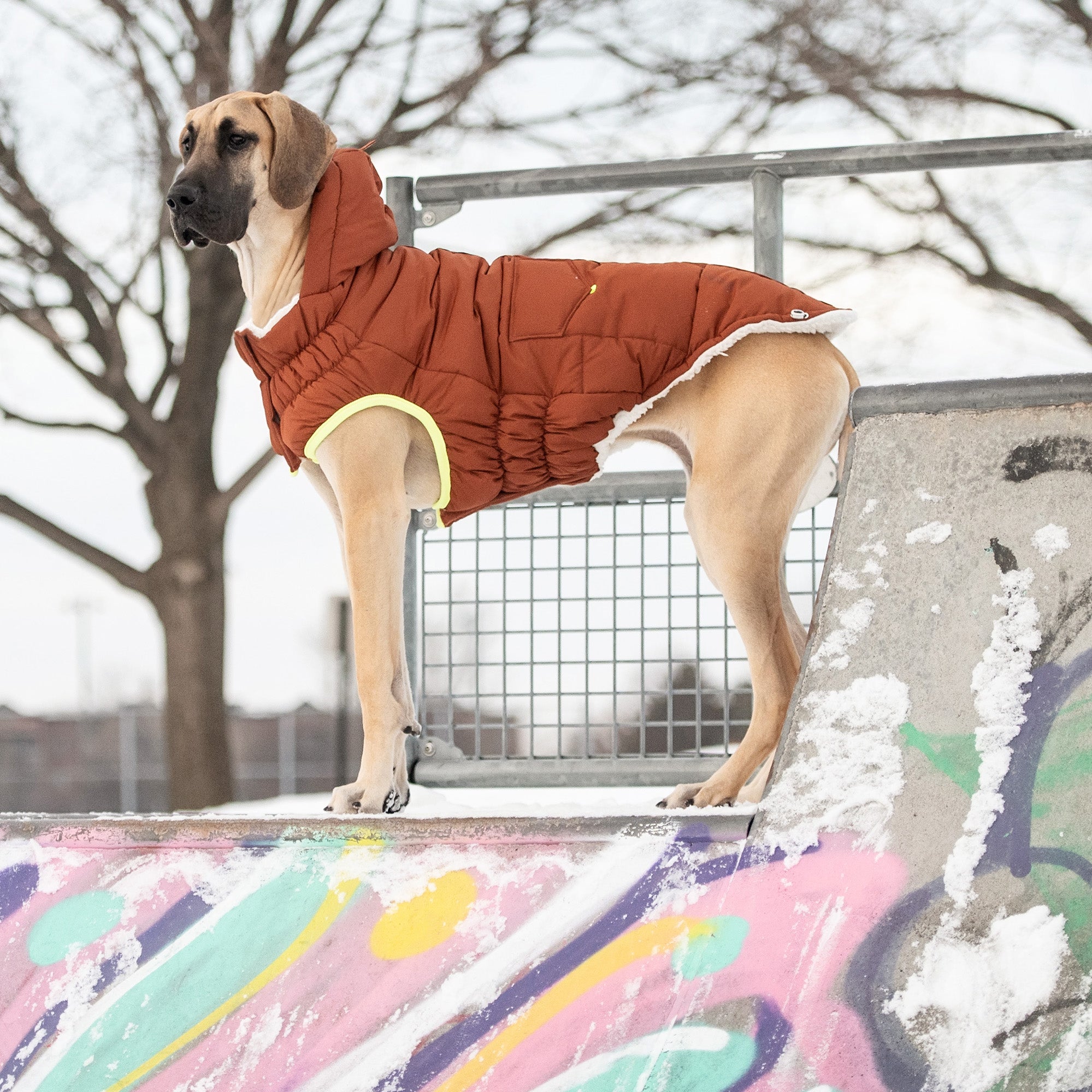 Super Puff Parka Dogs With Tackable Hood