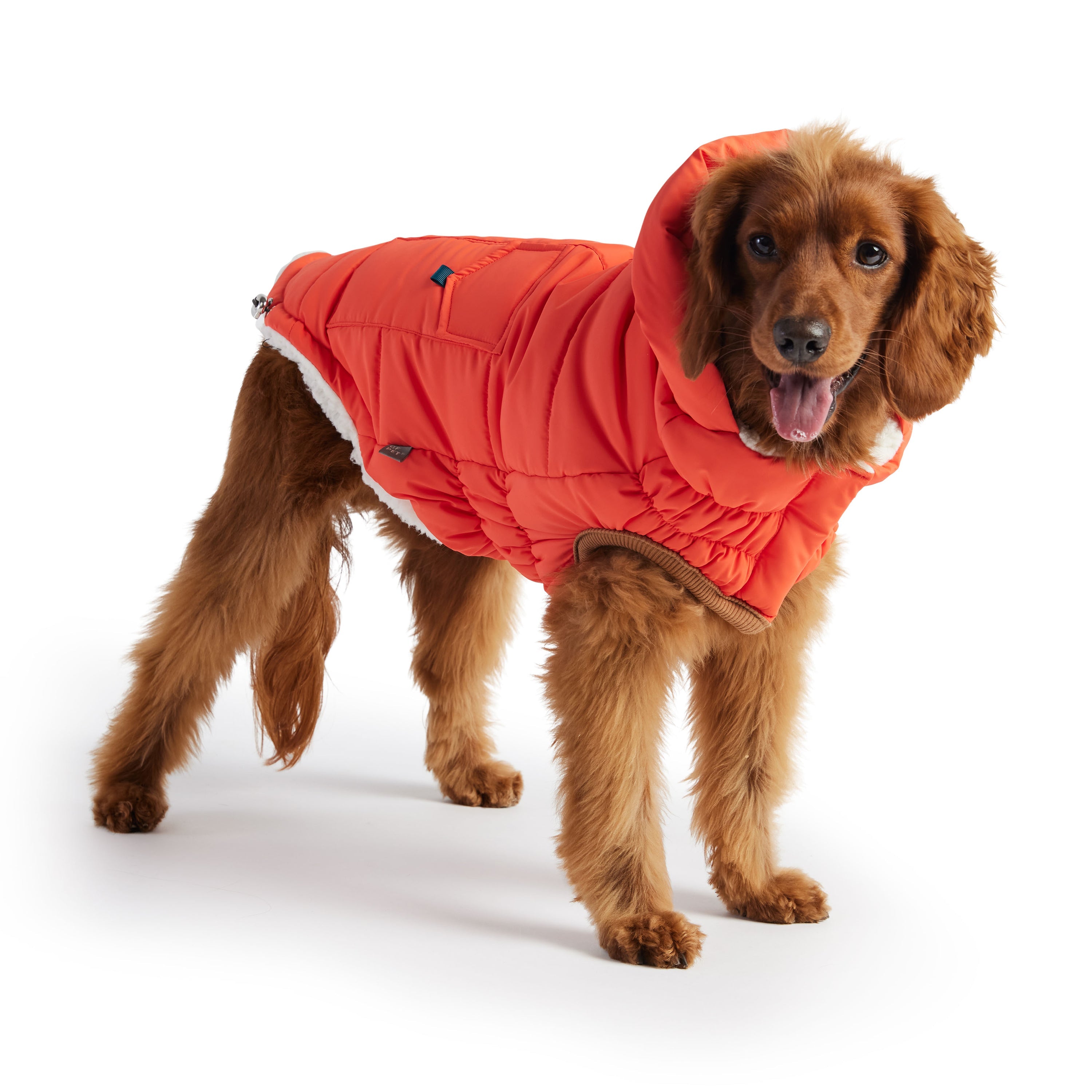 Dog Puff Parka With Tackable Hood
