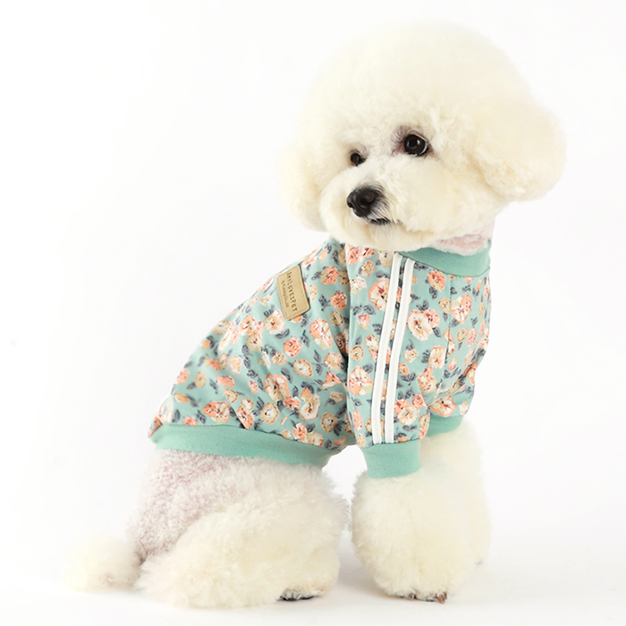Mint Dog Track Top With Soft Cotton Comfort