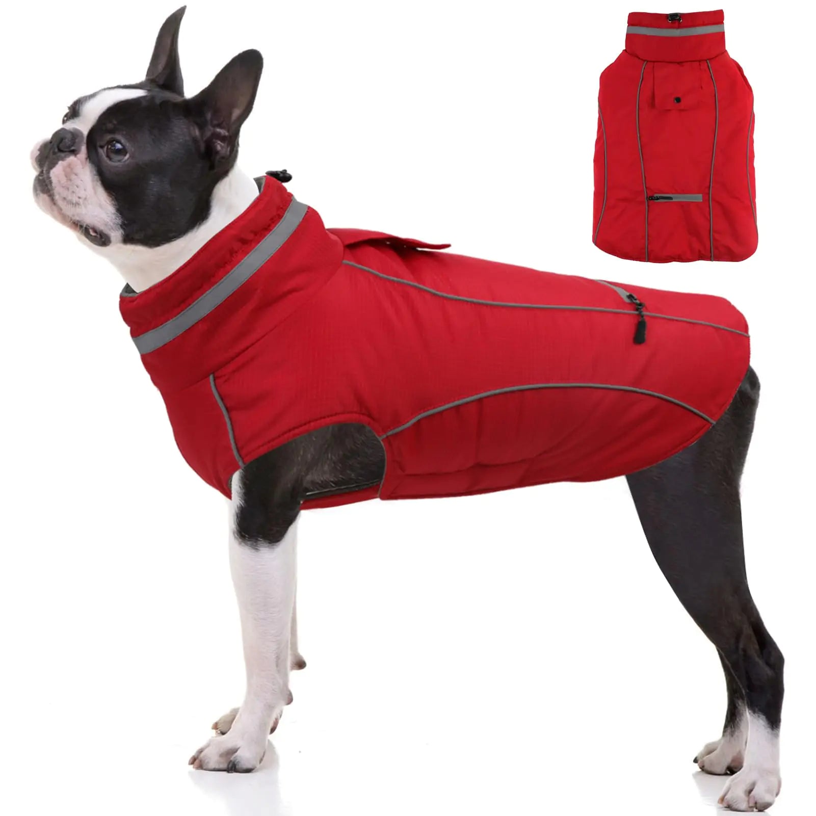 Reflective Dog Coat Back Pocket Windproof