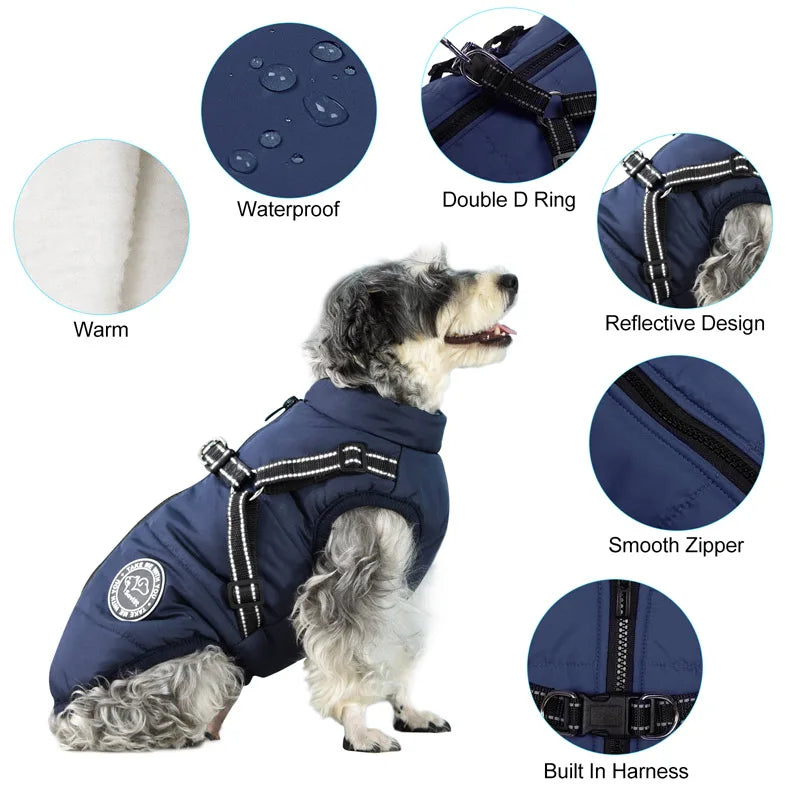 Dog Jacket With Harness