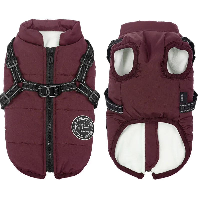 Dog Jacket With Harness