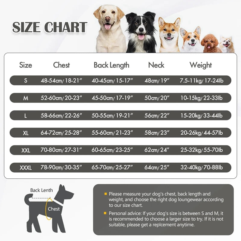 Waterproof Dog Coat With Harness