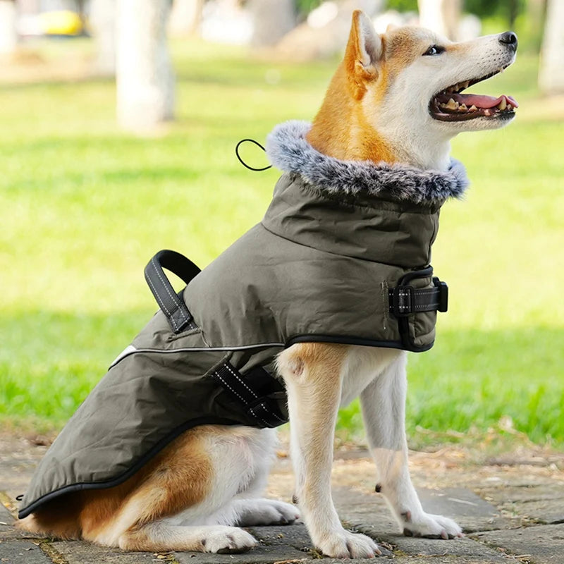 Waterproof Dog Coat With Harness