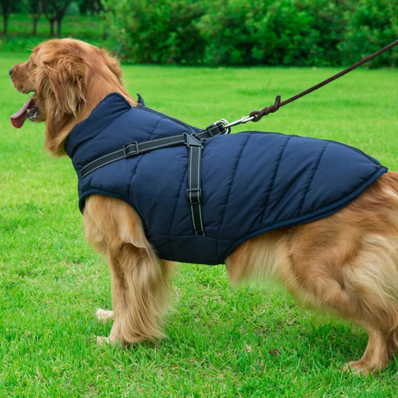 Dog Jacket With Harness