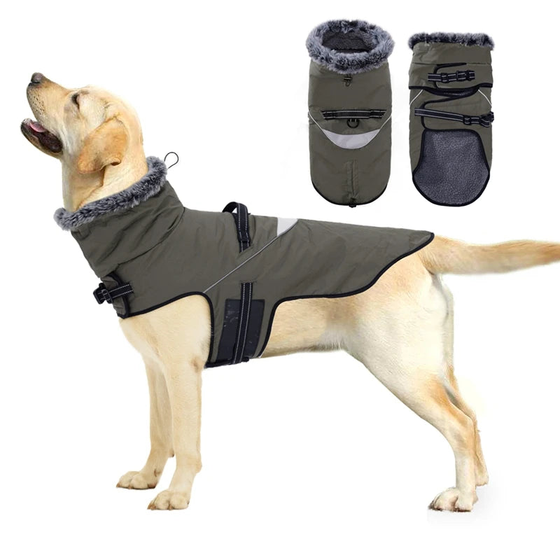 Waterproof Dog Coat With Harness