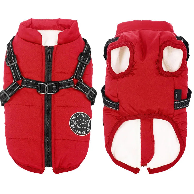 Dog Jacket With Harness