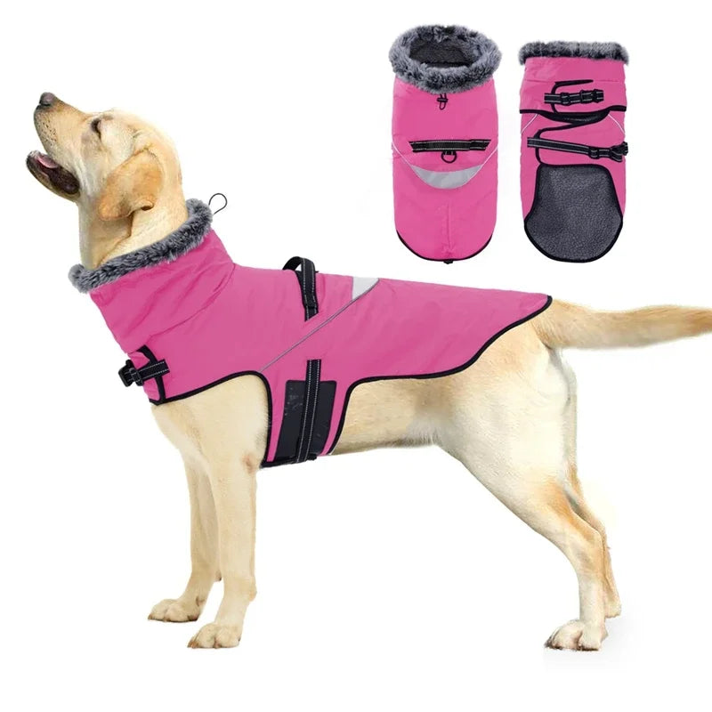 Waterproof Dog Coat With Harness