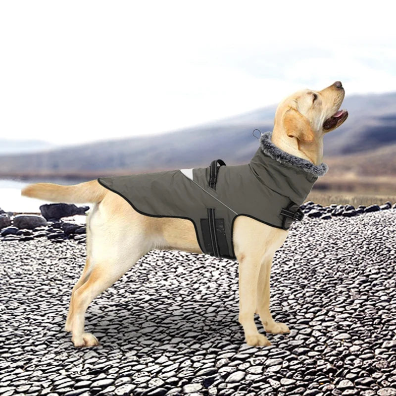 Waterproof Dog Coat With Harness