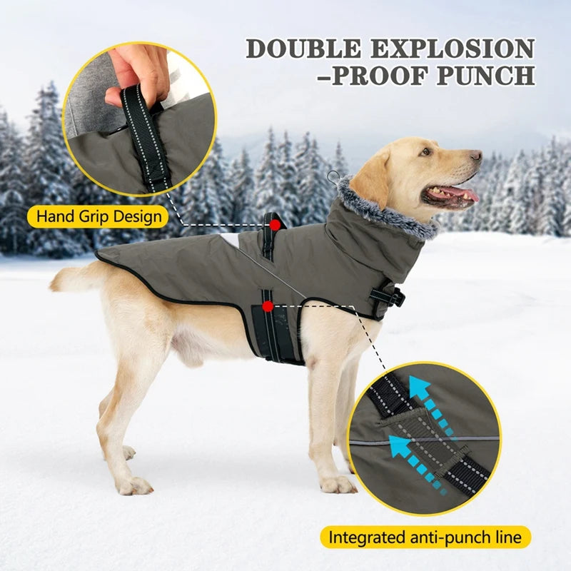 Waterproof Dog Coat With Harness