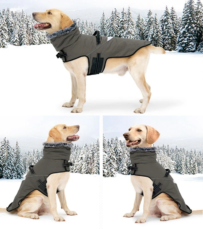 Waterproof Dog Coat With Harness