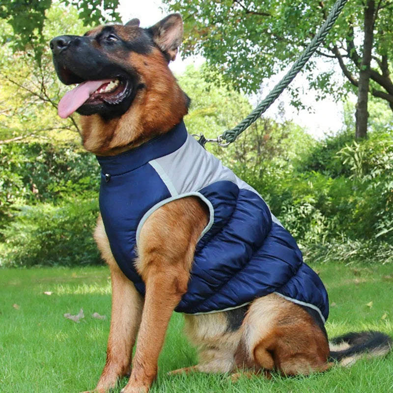 Winter Dog Coat With Reflective Strip For Large Dogs