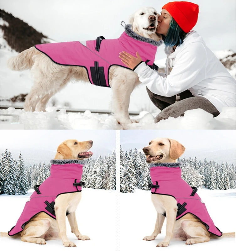 Waterproof Dog Coat With Harness