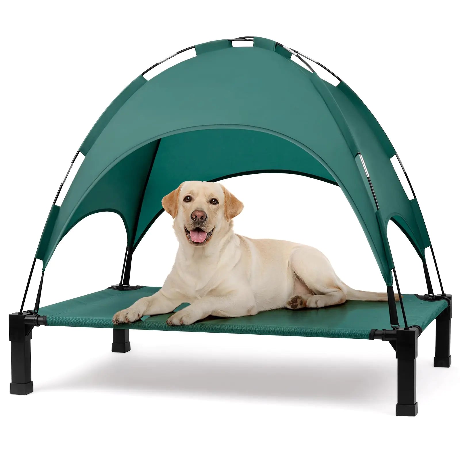 Elevated Dog Bed With Canopy