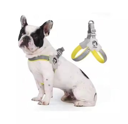 Reflective Dog Harness With Leash
