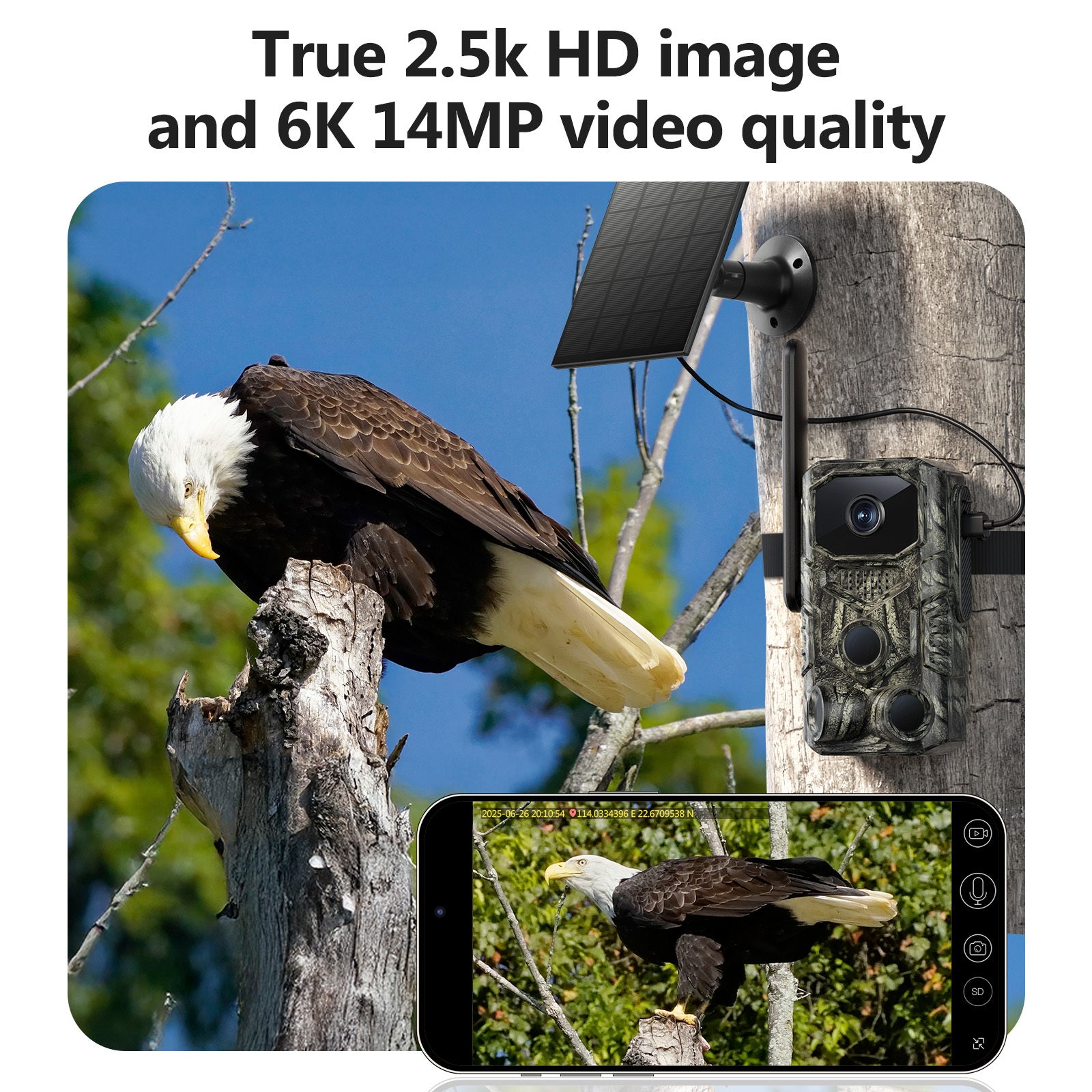 Brave Trail Camera Wide Angle 4MP GPS Tracking Deer Monitor