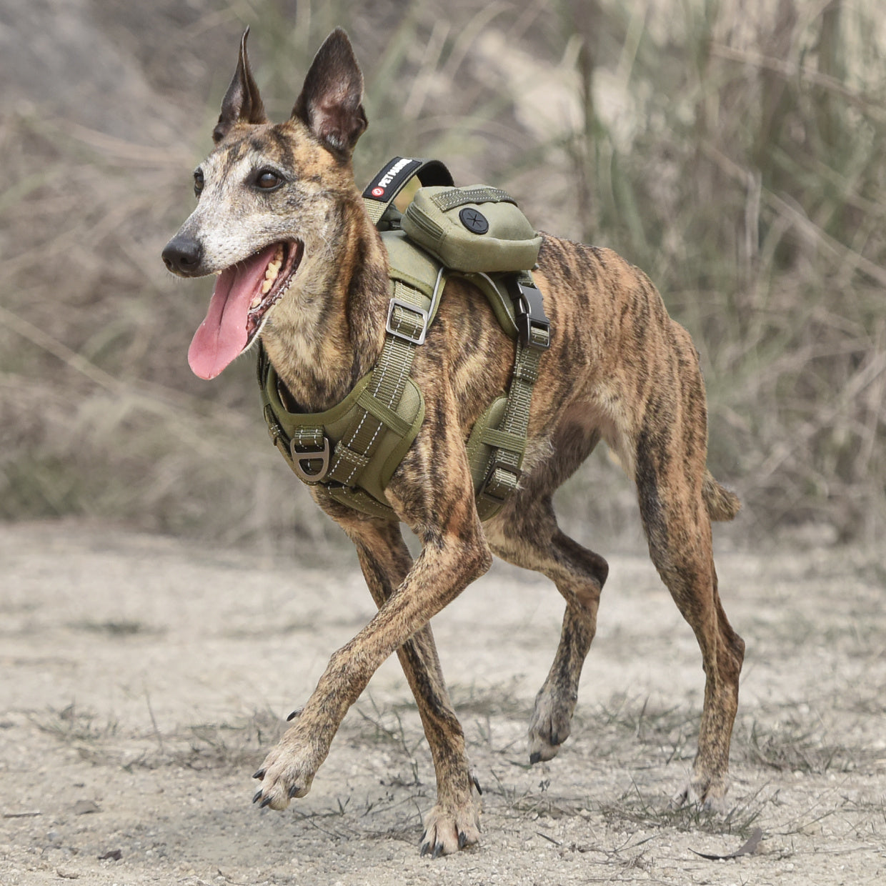 No Pull Tactical Dog Harness