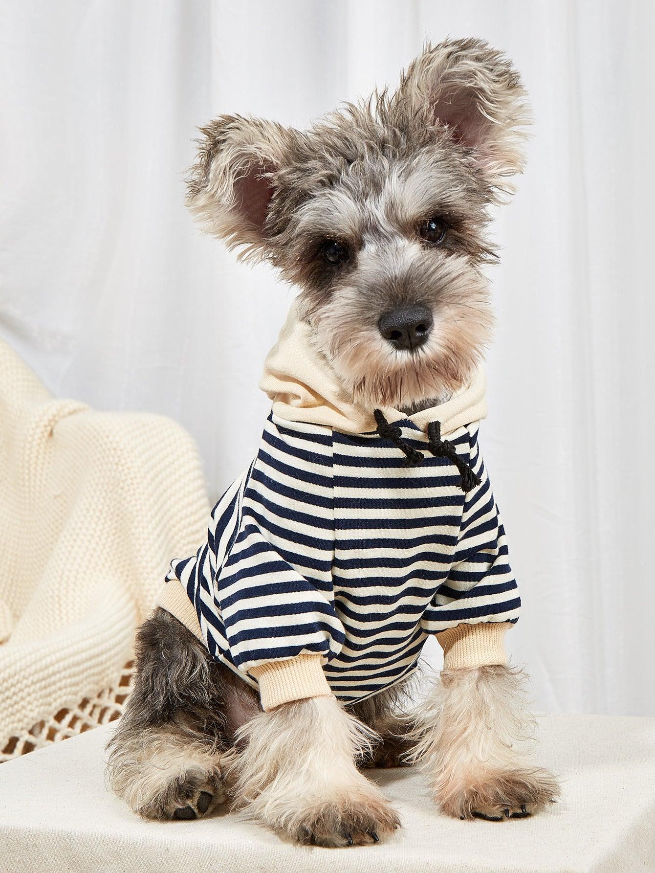 Striped Hooded Sweater For X-Small To Medium Dogs