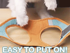 Escapeproof Cat Harness Reflective Vest Leash
