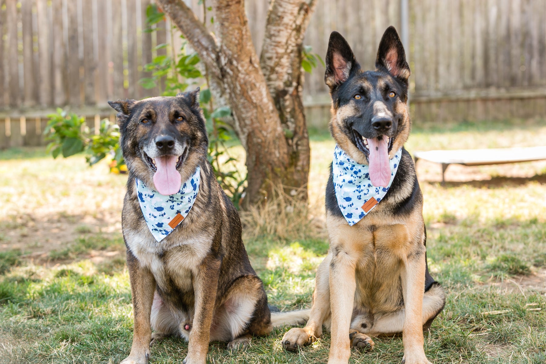 Adjustable Dog Bandana With Curved Ends 30 To 100 Lbs