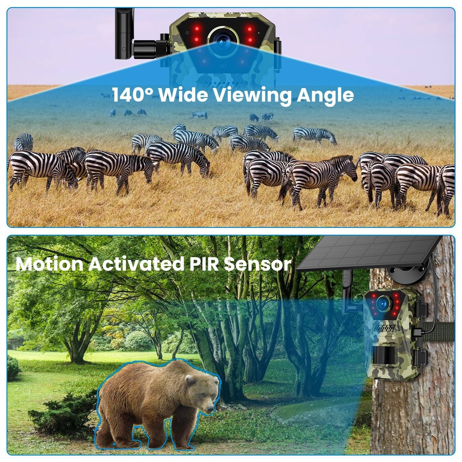 462003481