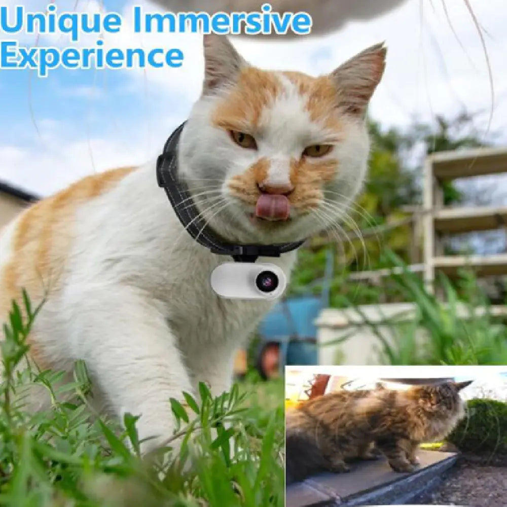 1080P Outdoor Pet Camera Travel Ready With Adjustable Strap