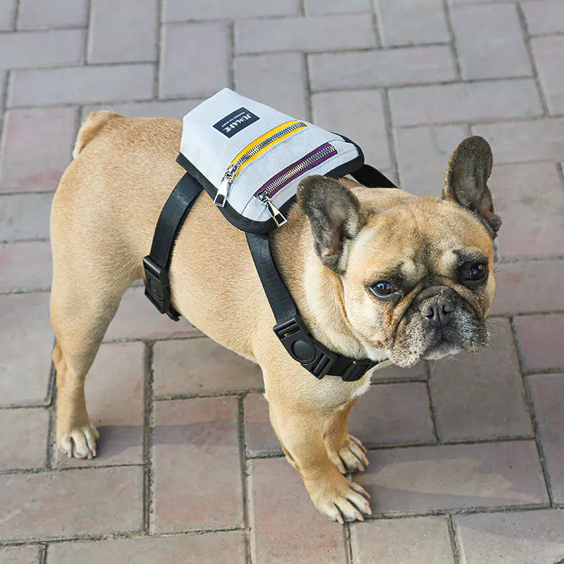 Small Dog Travel Backpack With Breathable Mesh